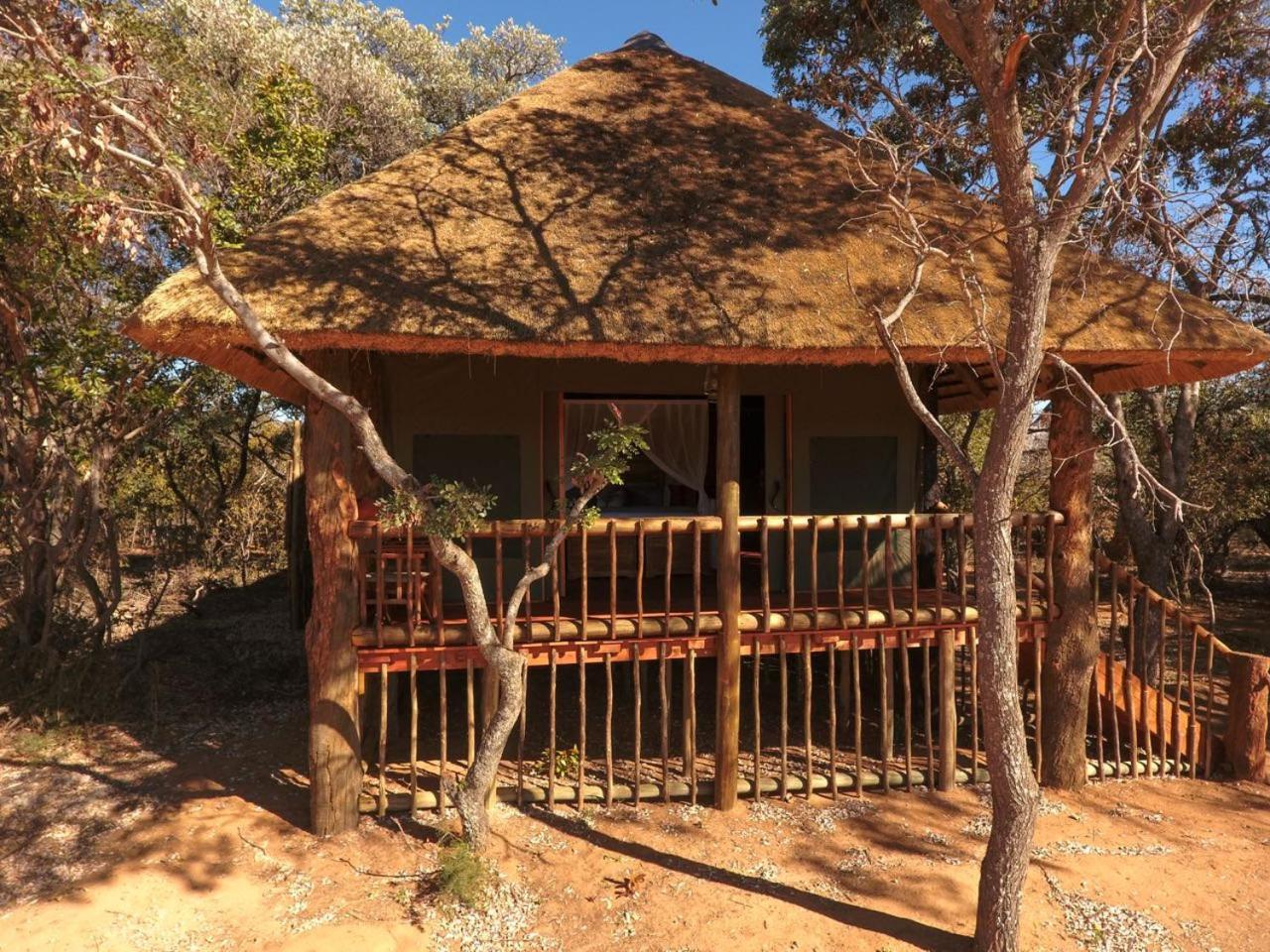 Hotel Honeyguide Ranger Camp à Golders Green Extérieur photo