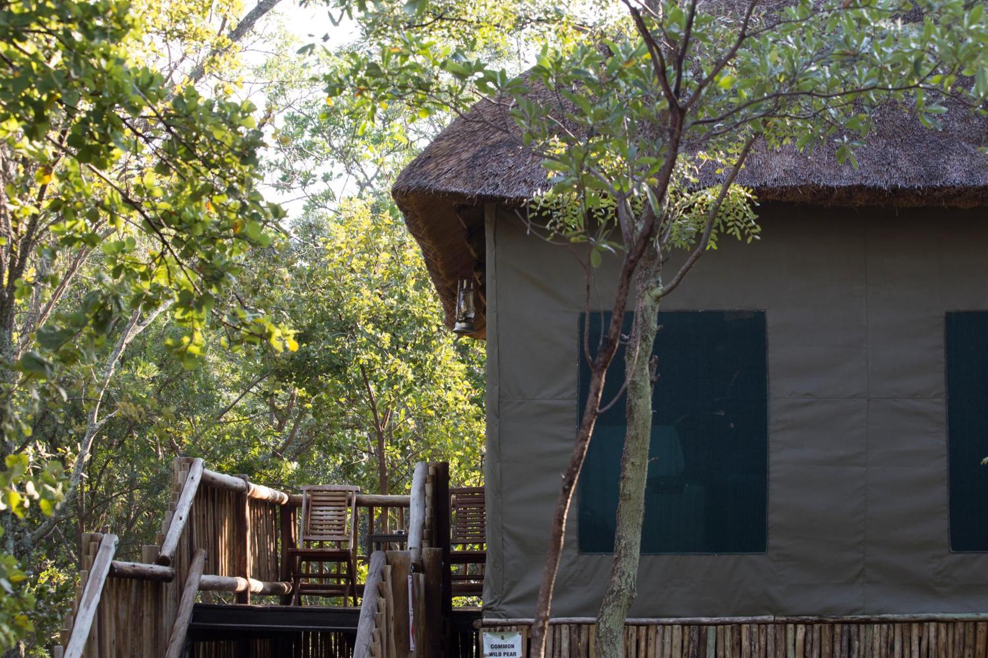Hotel Honeyguide Ranger Camp à Golders Green Chambre photo